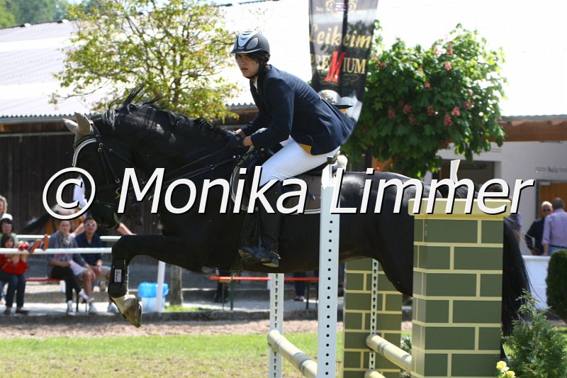 204M3360_Fantastic Touch_Stil_WB_E.JPG